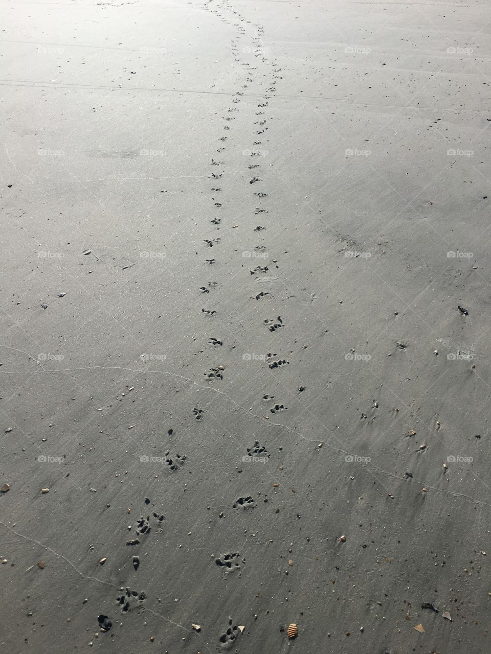 Footprints to nowhere 