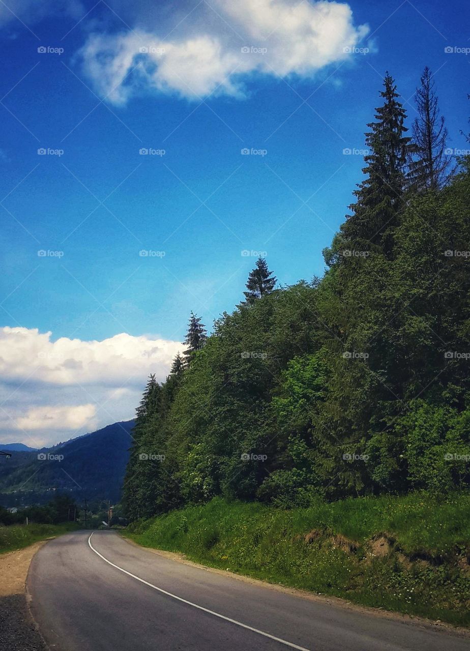 Road in the Carpathian Mountains