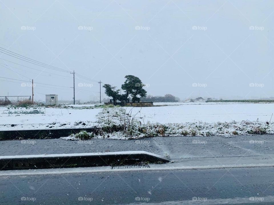 amazing view of snowfall