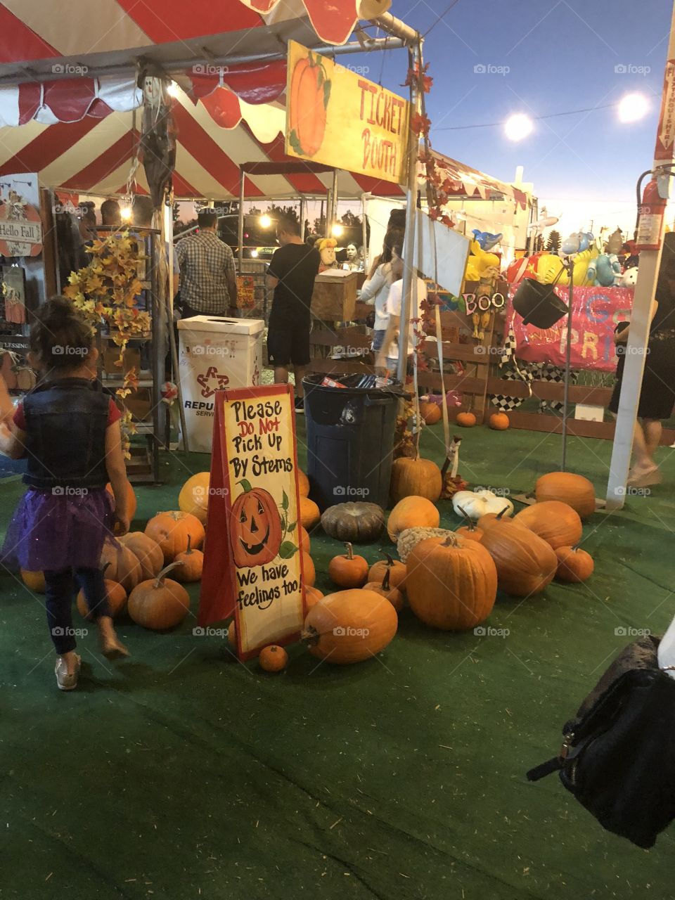 Pumpkins 