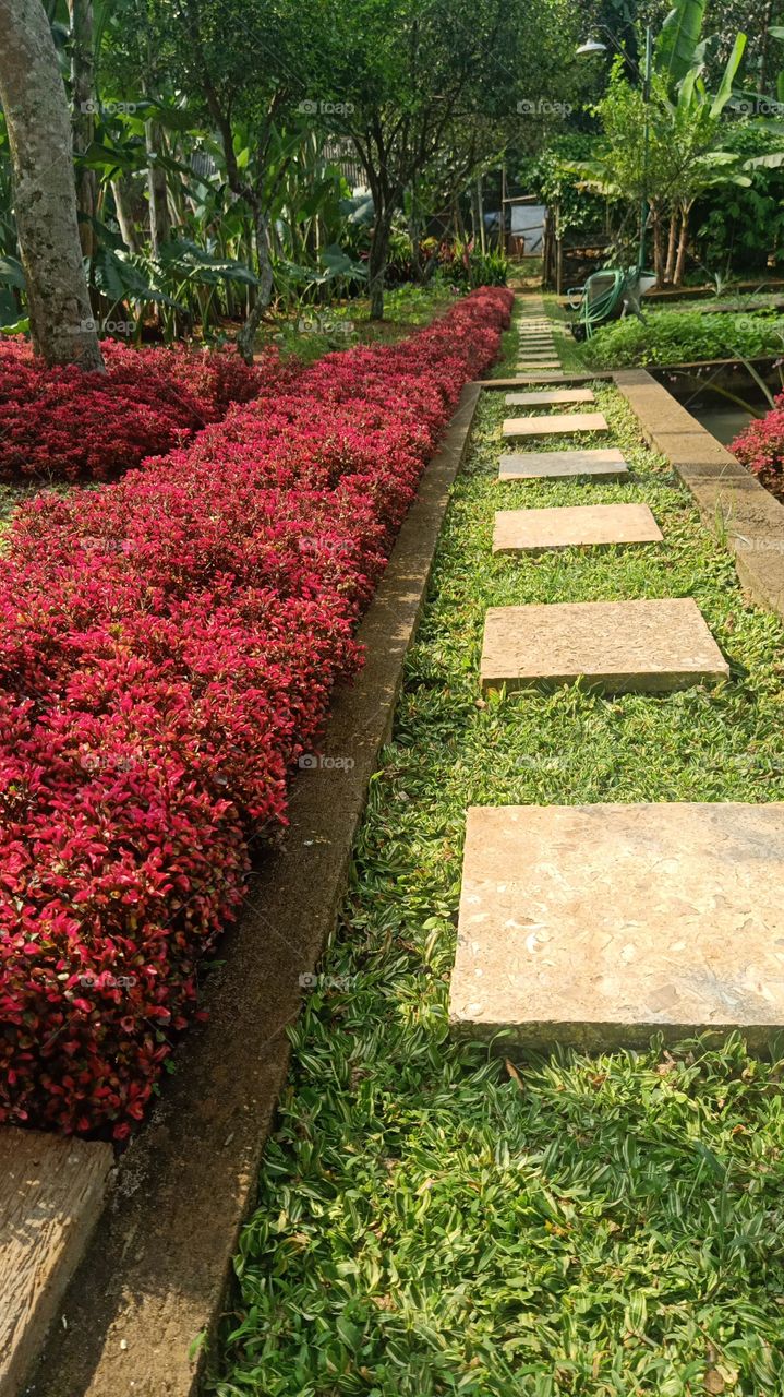 the path decorated by red and white staff