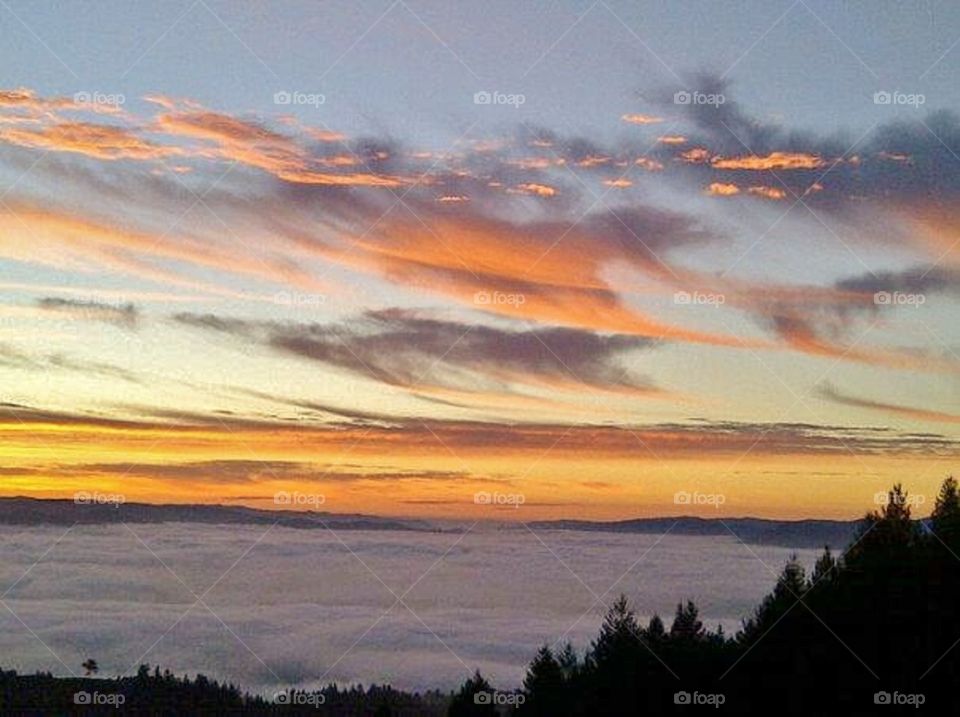 Foggy Sunrise. Spring Mountain Napa