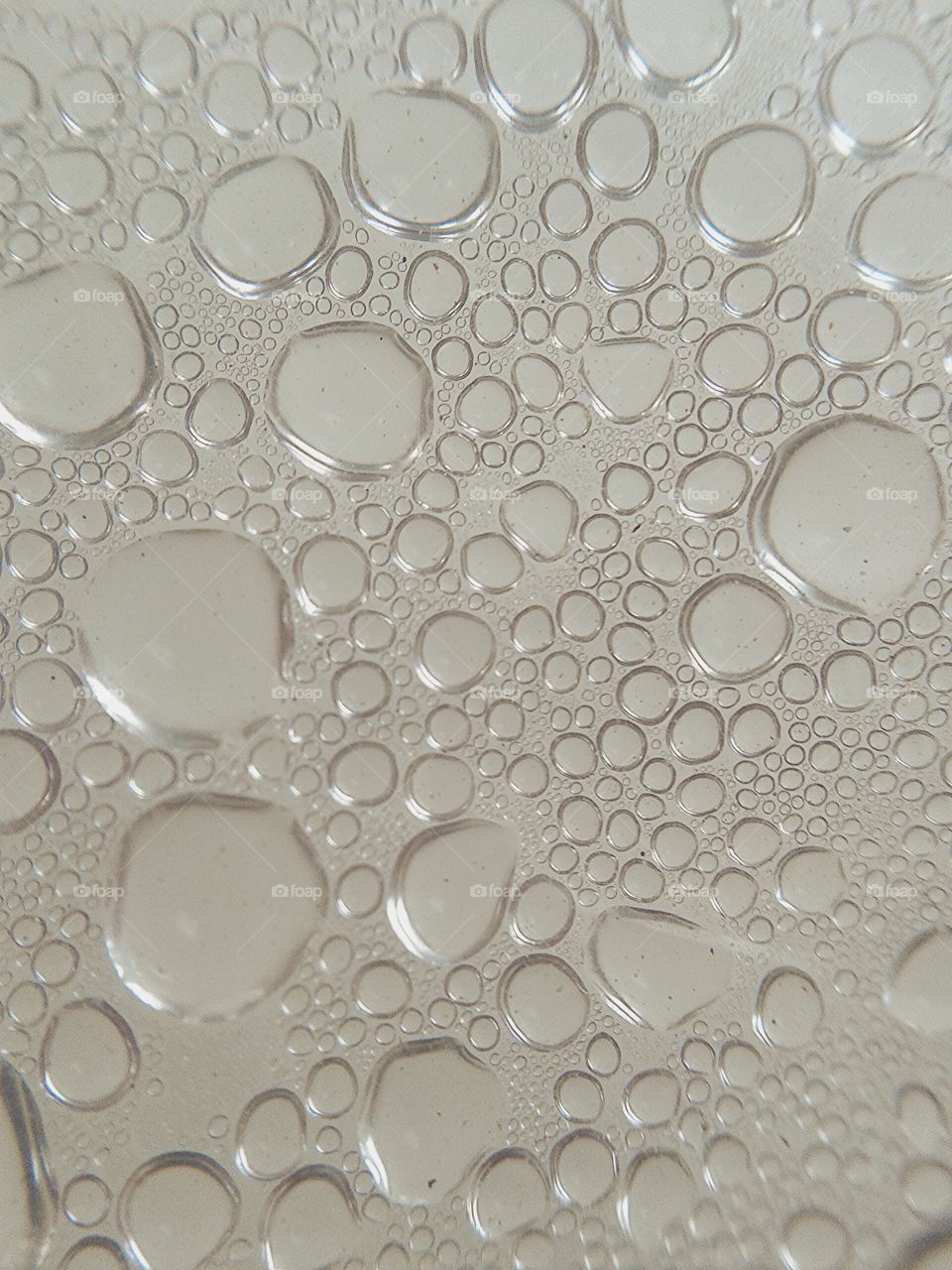 dew. dew on plastic plate