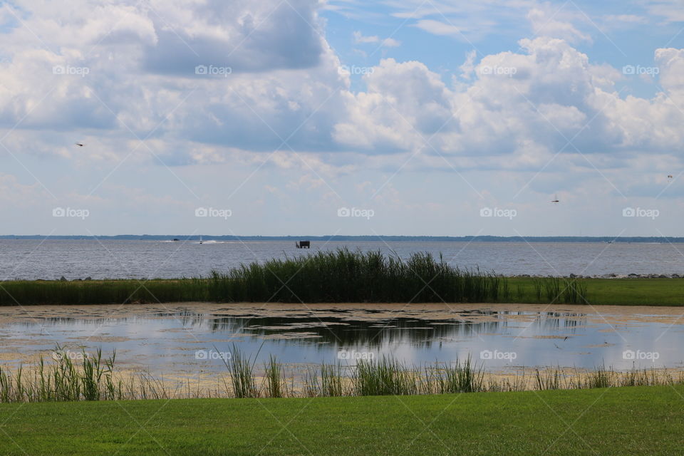 Landscape, No Person, Water, Lake, Tree