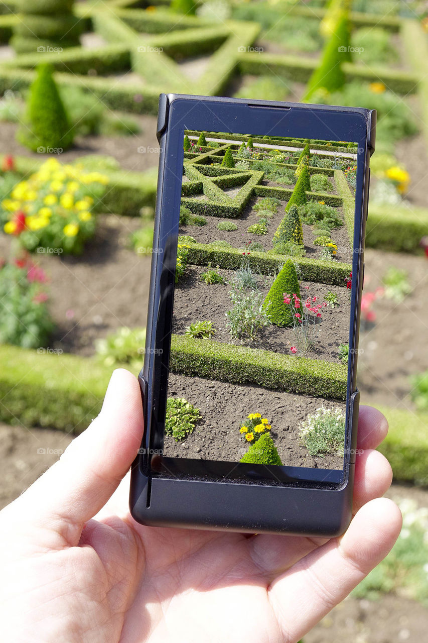 Camera phone. Taking a picture of a garden in an English stately home with a smartphone cell phone mobile phone camera 