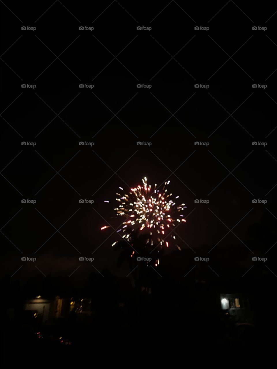 Fireworks in the sky 