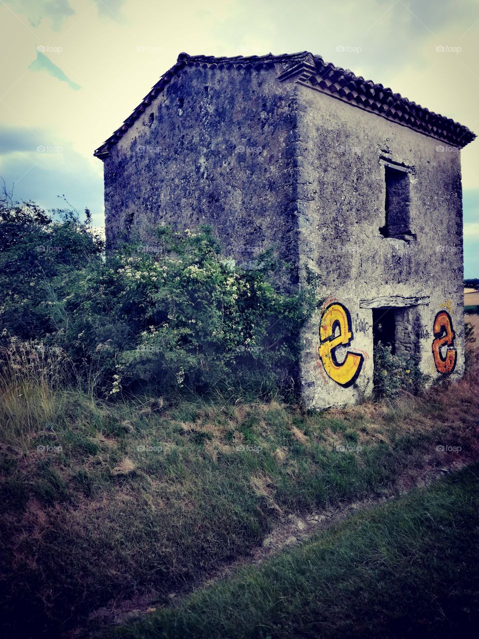 maison, tag, graff