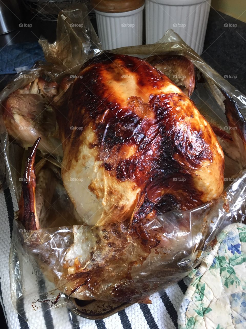 Thanksgiving turkey 
