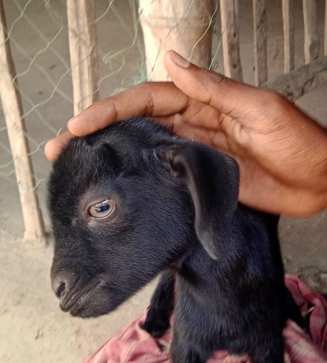 Cute kid