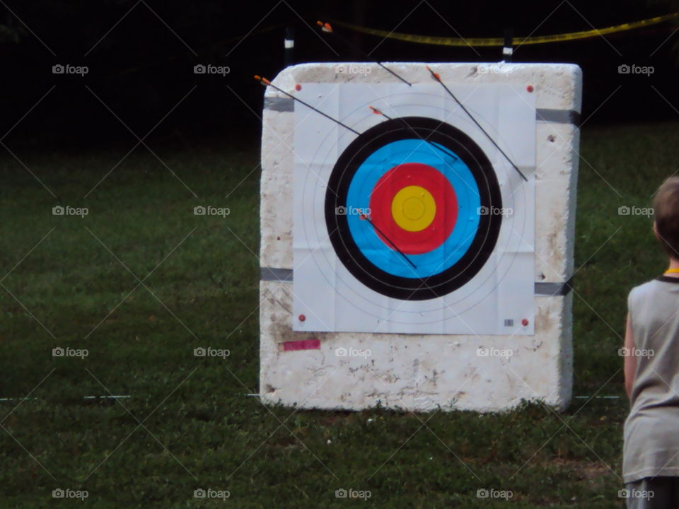 arrows in a target