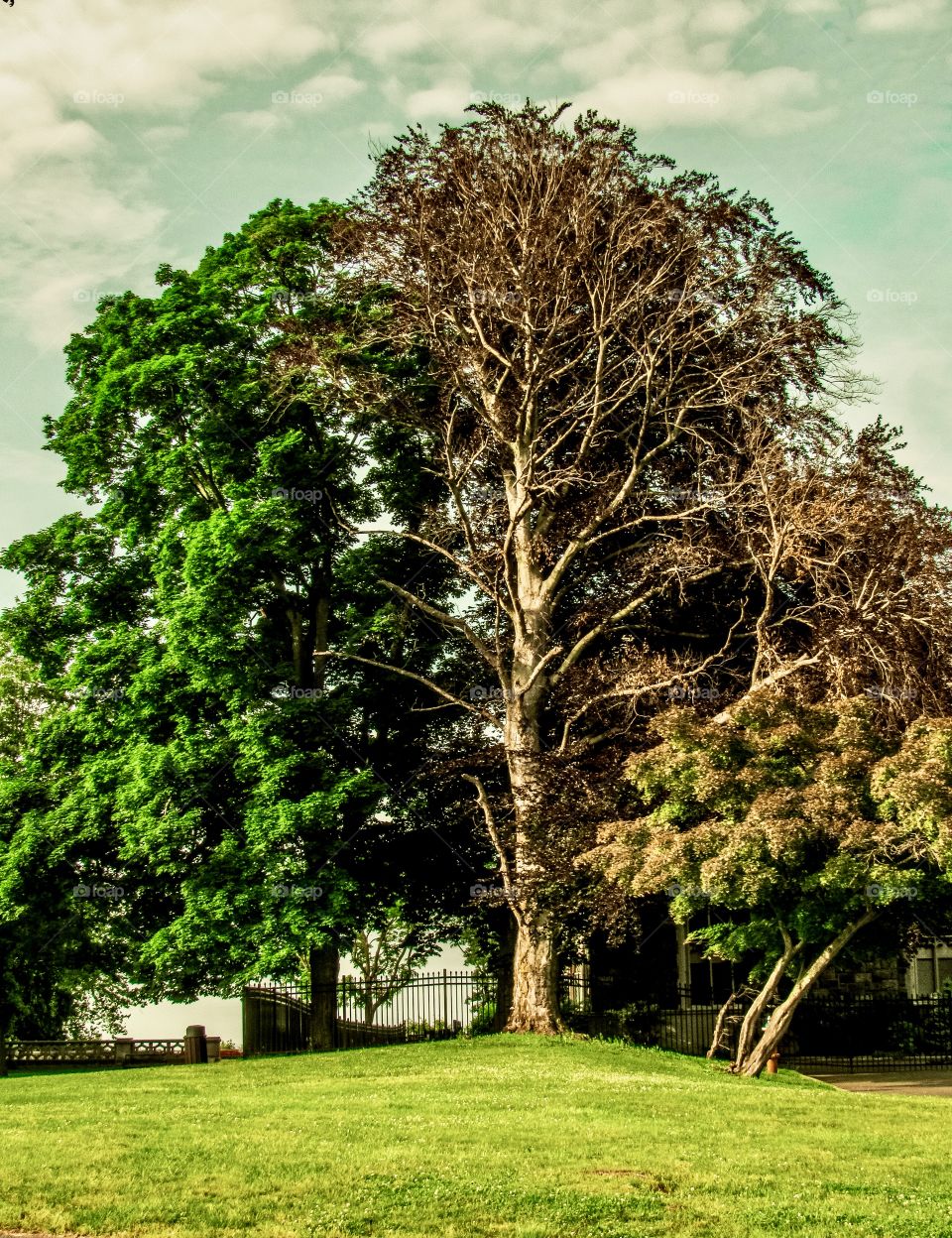 Sands Point New York, Castle, landscape, grass, peaceful, beautiful, 