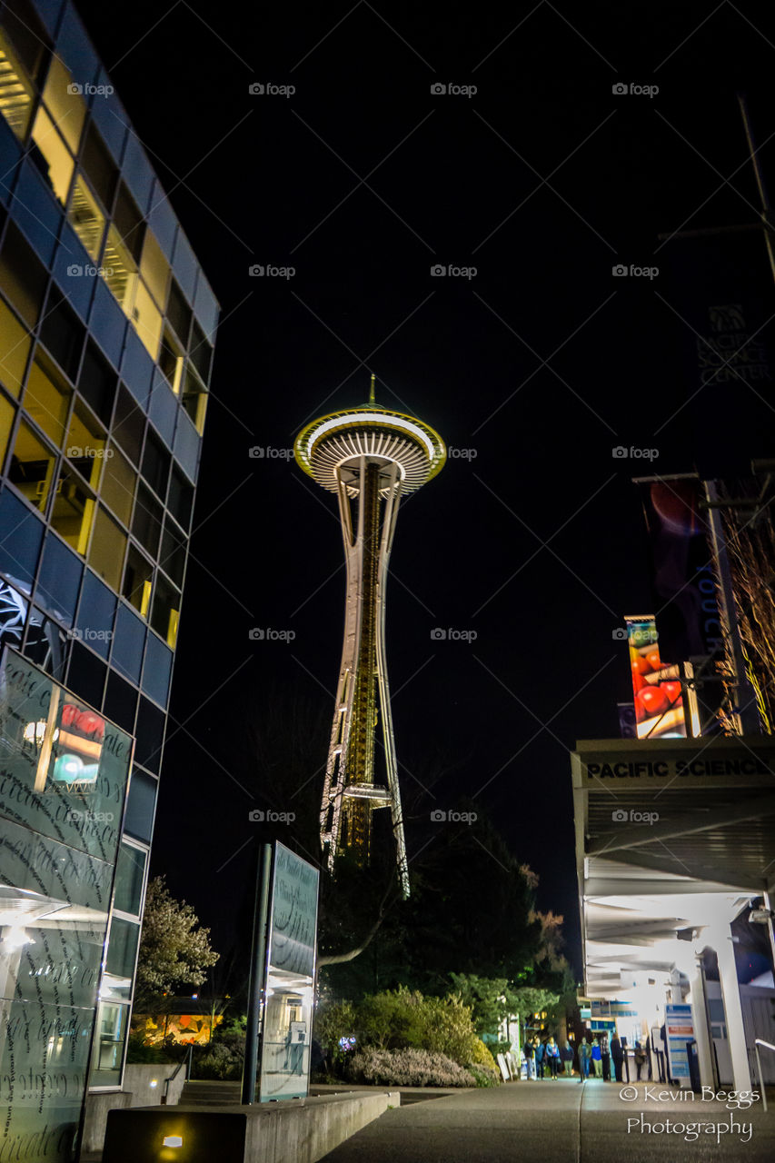 Needle at Night