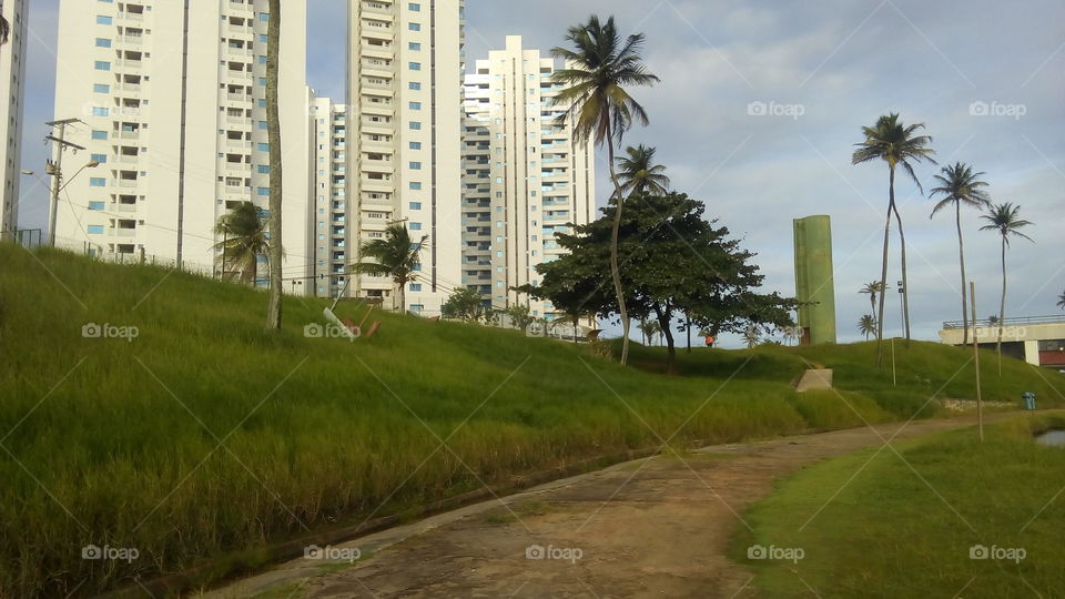 natureza e cidade