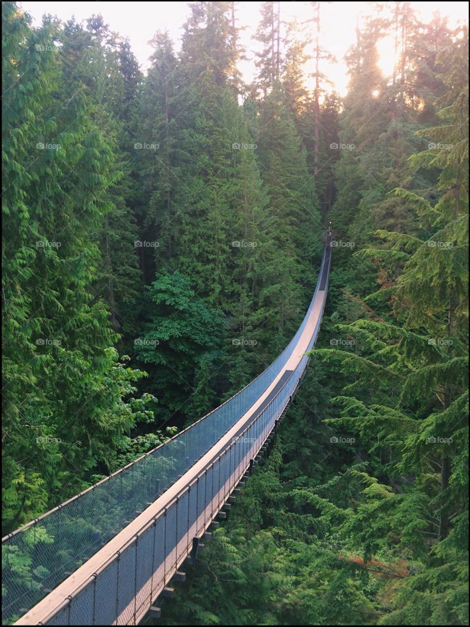 Capilano Suspension Bridge - Vancouver, Canadá.