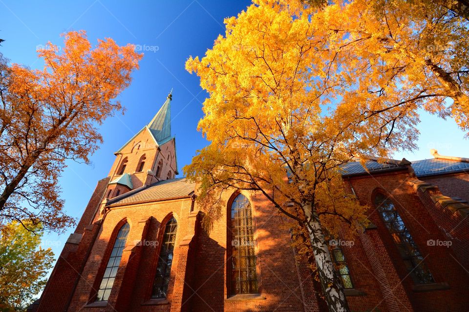 Divine colours of the autumn