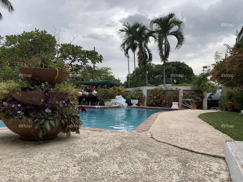 Beautiful garden and pool for a Chinese New Year celebration in Kingston, Jamaica