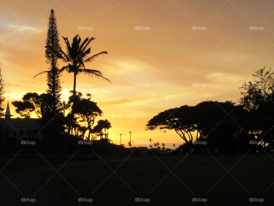 sunset palm trees hawaii maui by Ryegirl64
