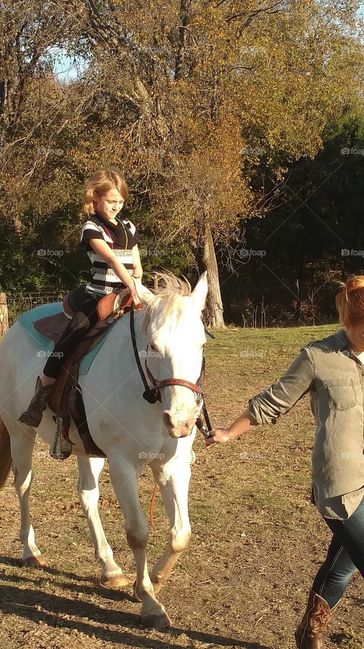 Horseback Riding in The Sunlight