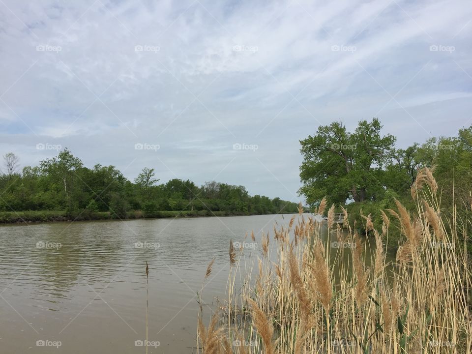 Tall grass and dock tucked along the Erie Canal 