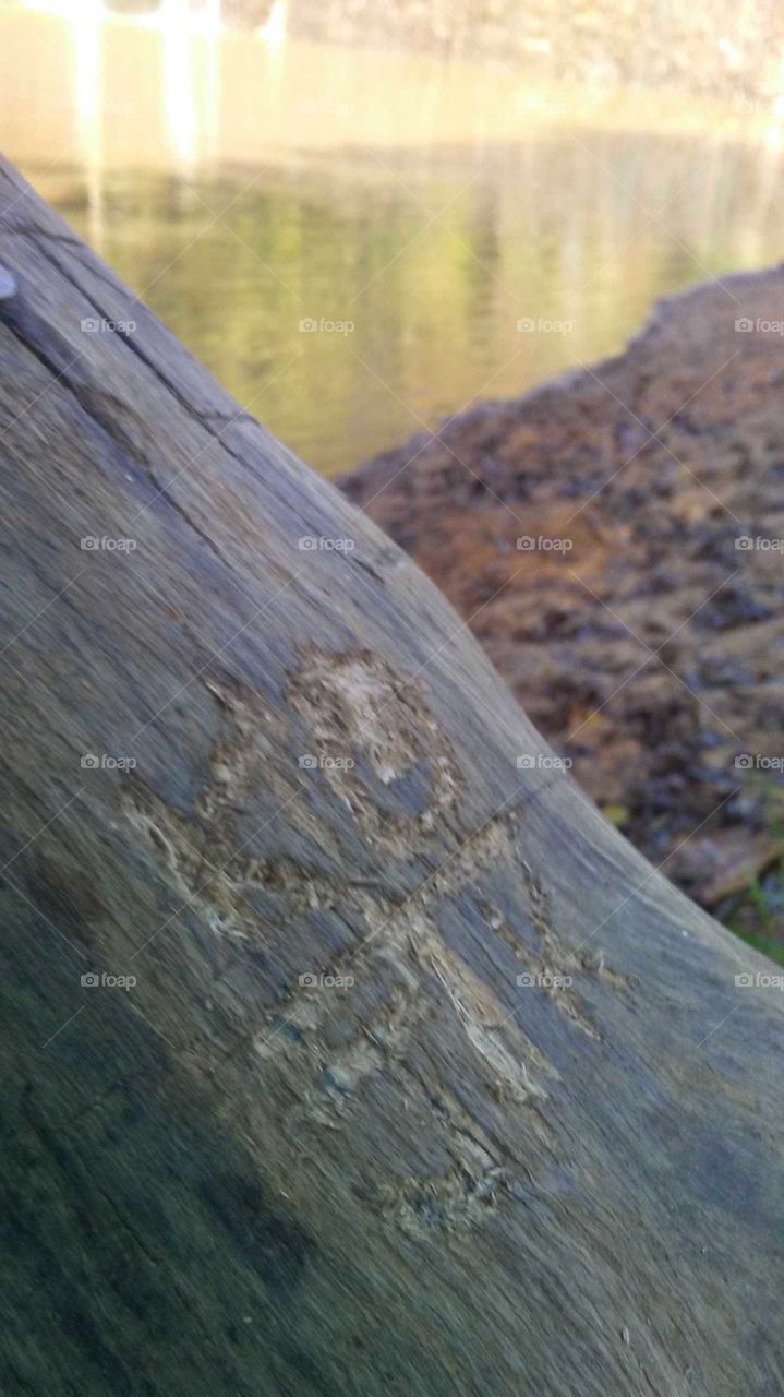 initials in tree @redneck beach