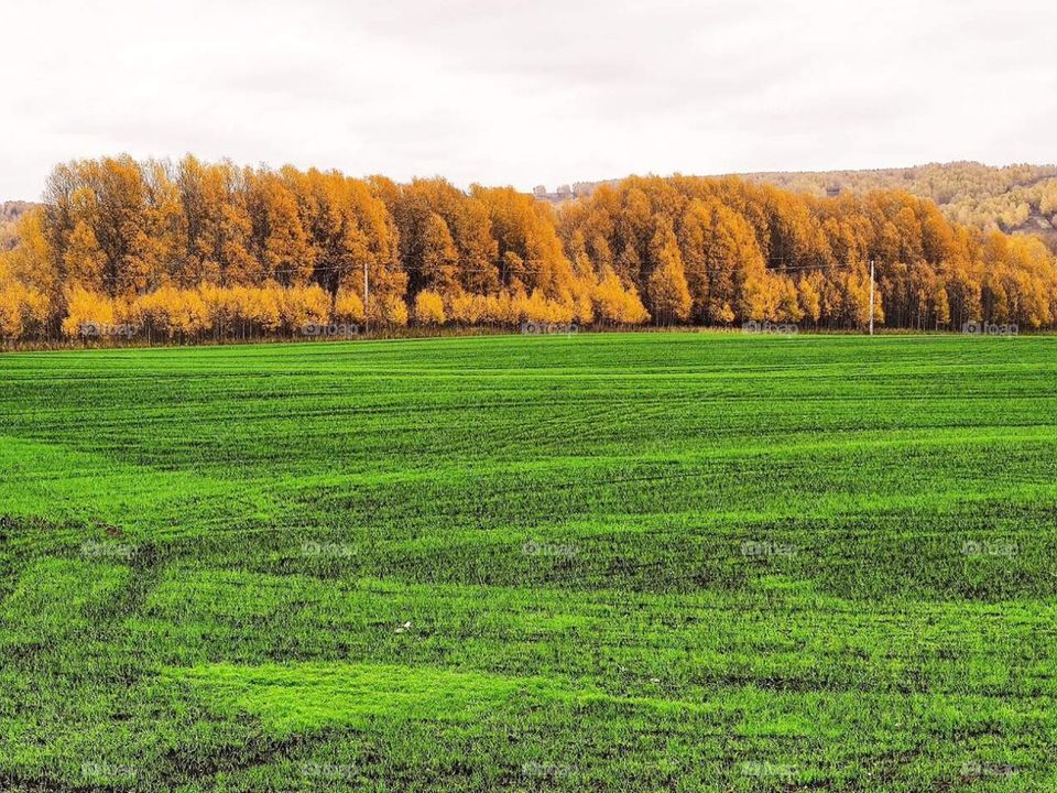 Красоты Сибири