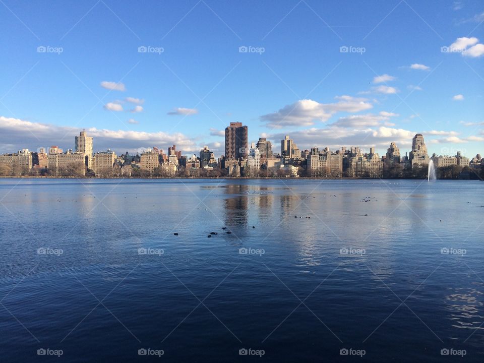 New York Tranquility. New York Skyline from Central Park