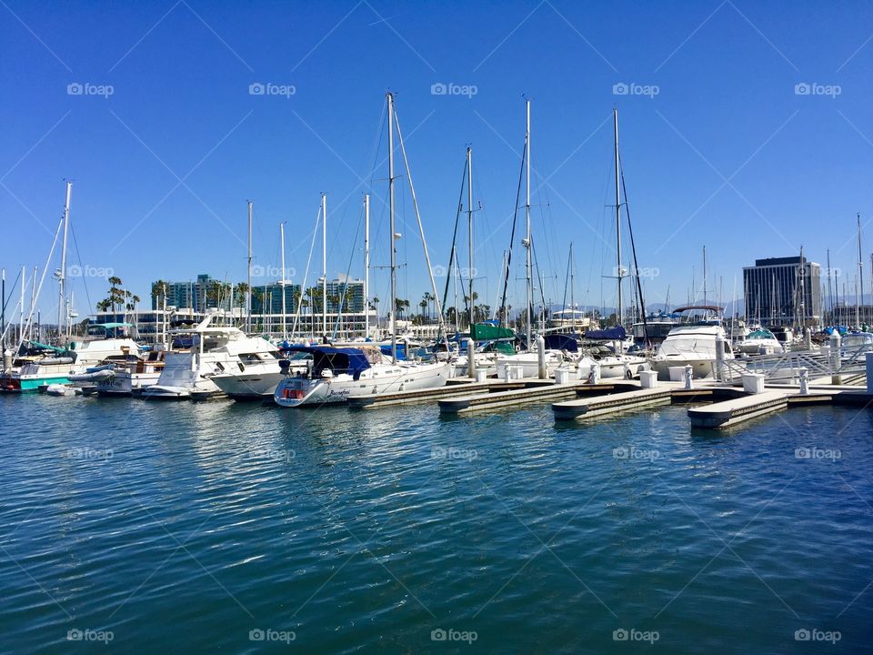 Marina del Rey