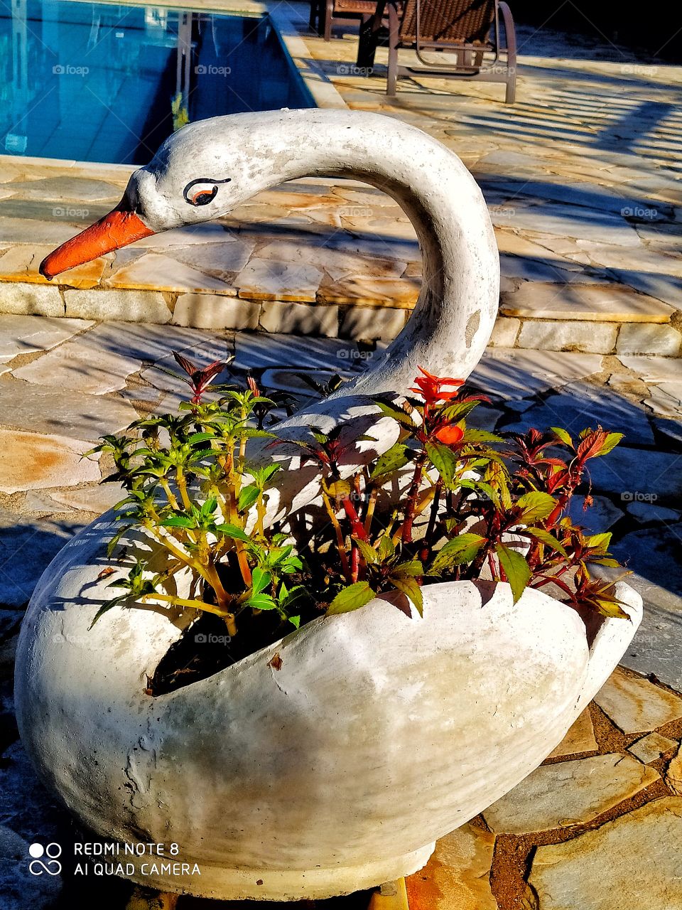 Uma escultura de um cisne servindo como vaso de planta no jardim de uma pousada trazendo beleza e destaque aquele lugar