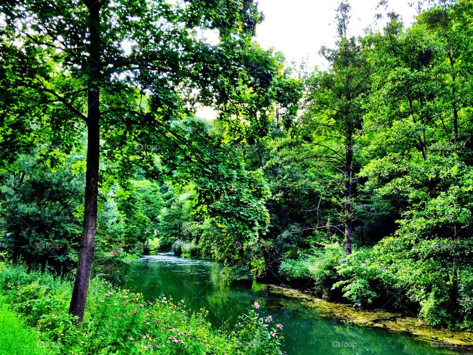 Fluß in grüner Landschaft