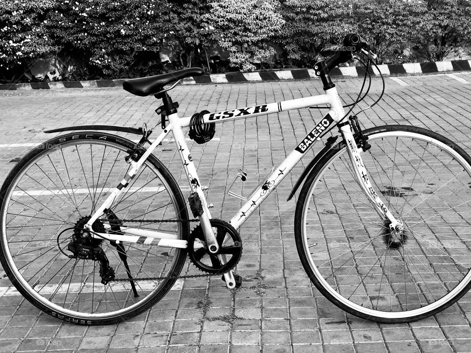 Two wheels, one love!🚲