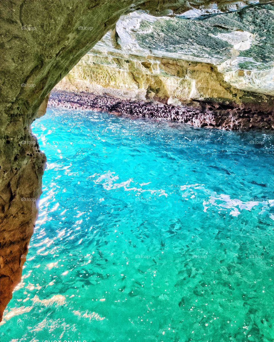 Bright colors of the sea