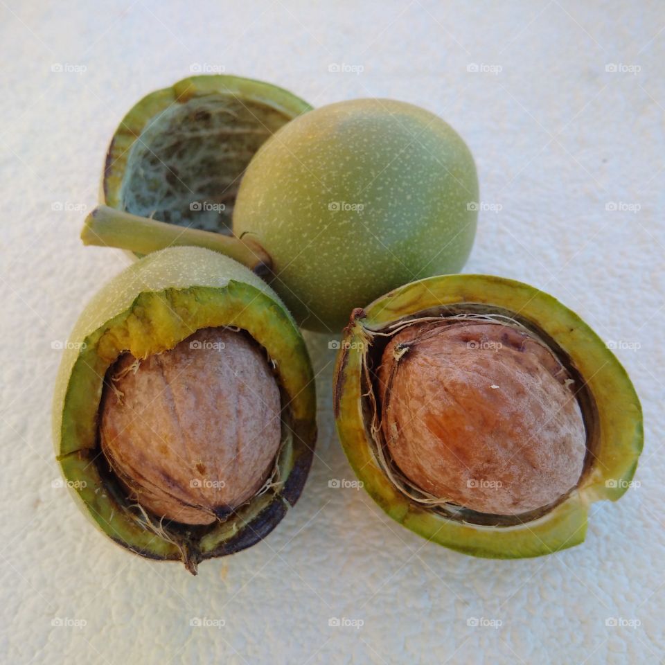 walnut in the shell, how does walnut grow