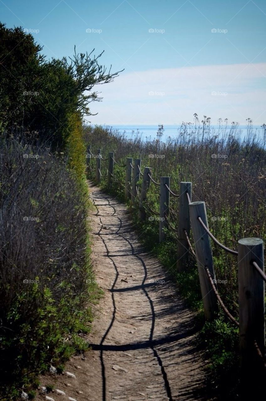 beach nature pretty california by ChrissiRose