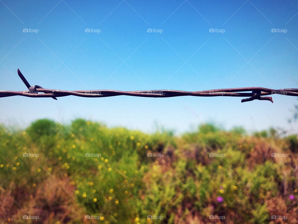 Barbed Wire Closeup