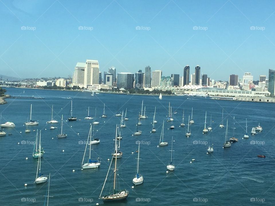 San Diego sailboats 