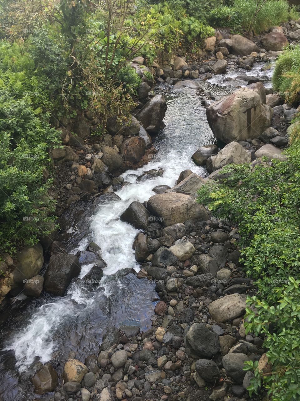 Iao Valley Stream