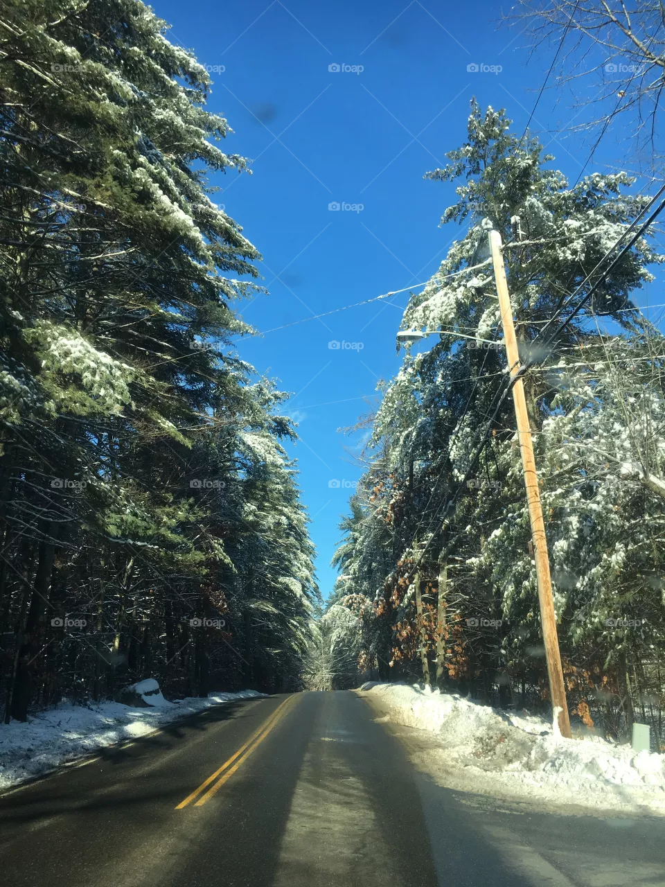 Winter