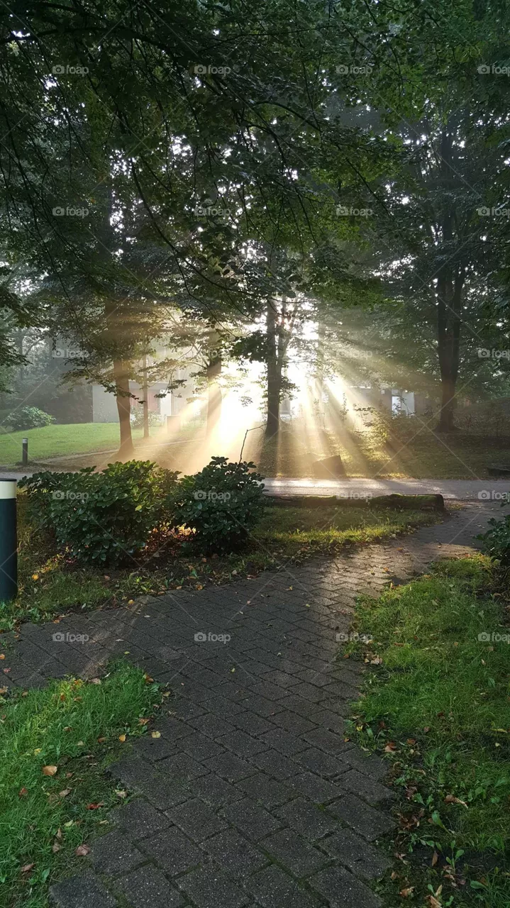 first light