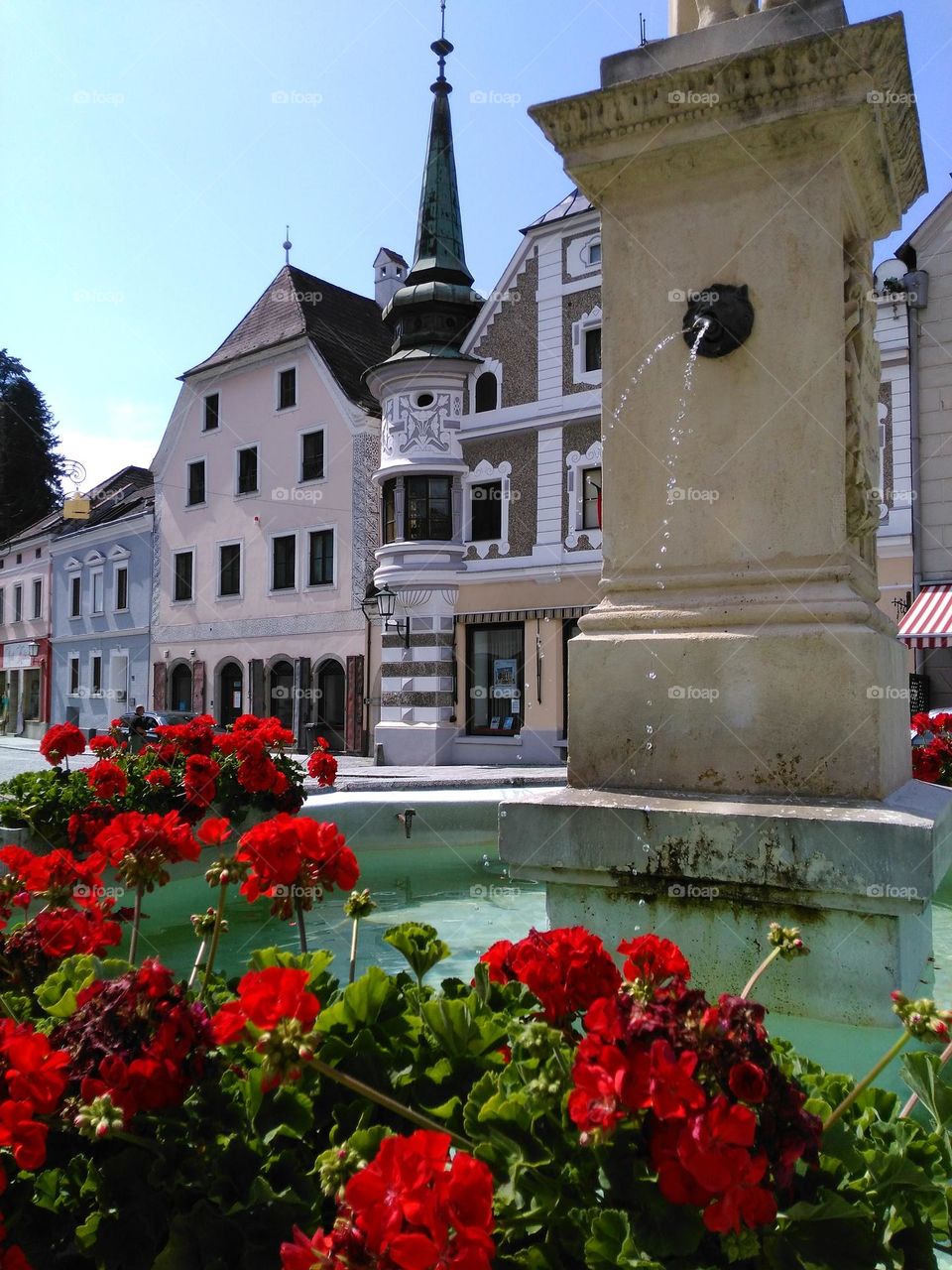 Red Geranium blooming in central square in Austria. Fountain with a head of a lion. Beautiful houses of an old town.