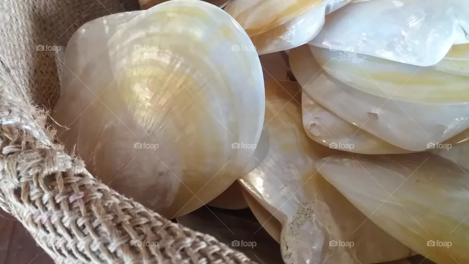 SHELL