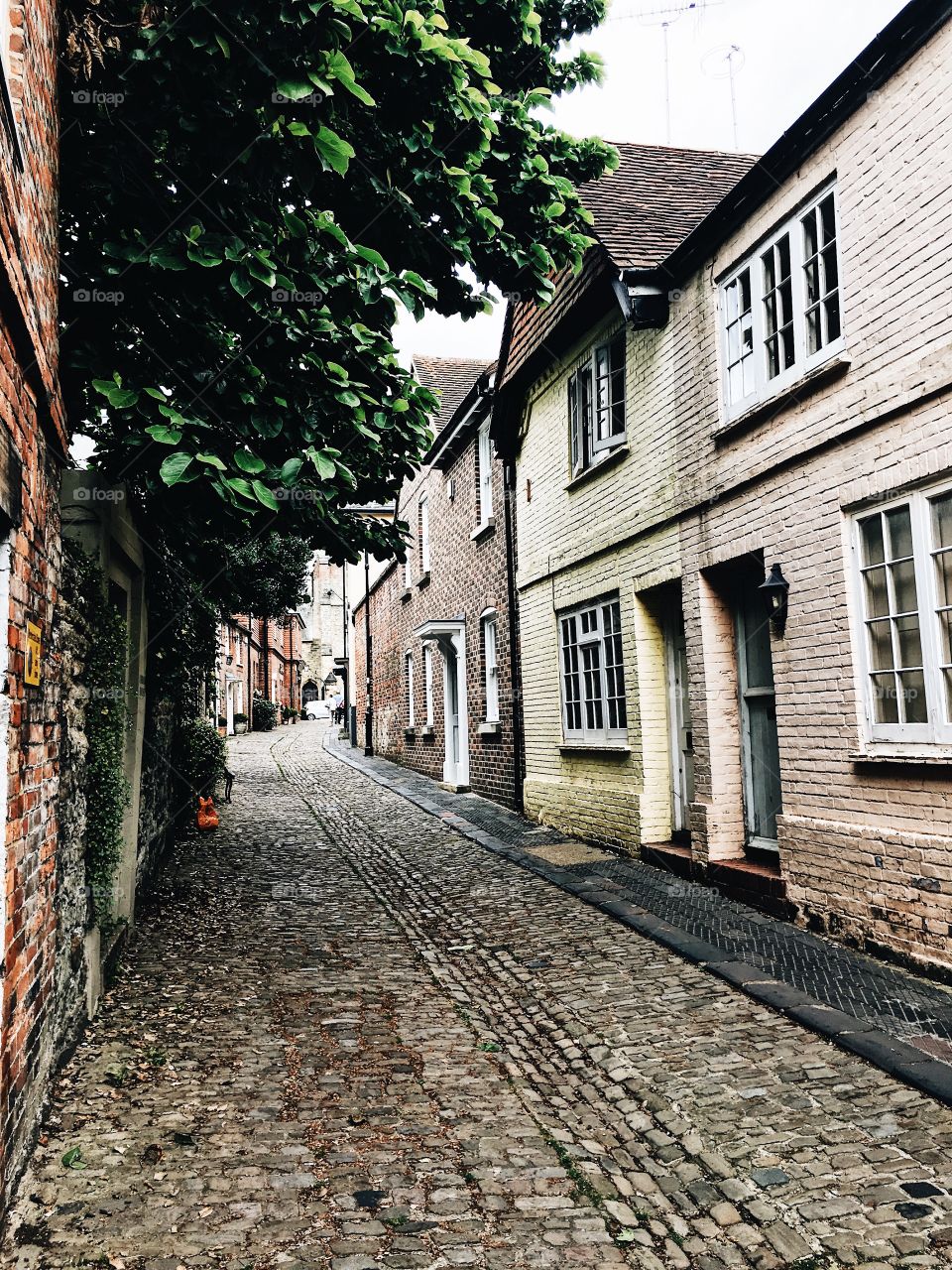 An old cobbled English street, complete with pastel painted houses and shrubbery 