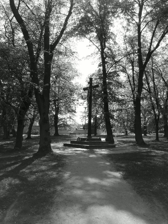 kříž