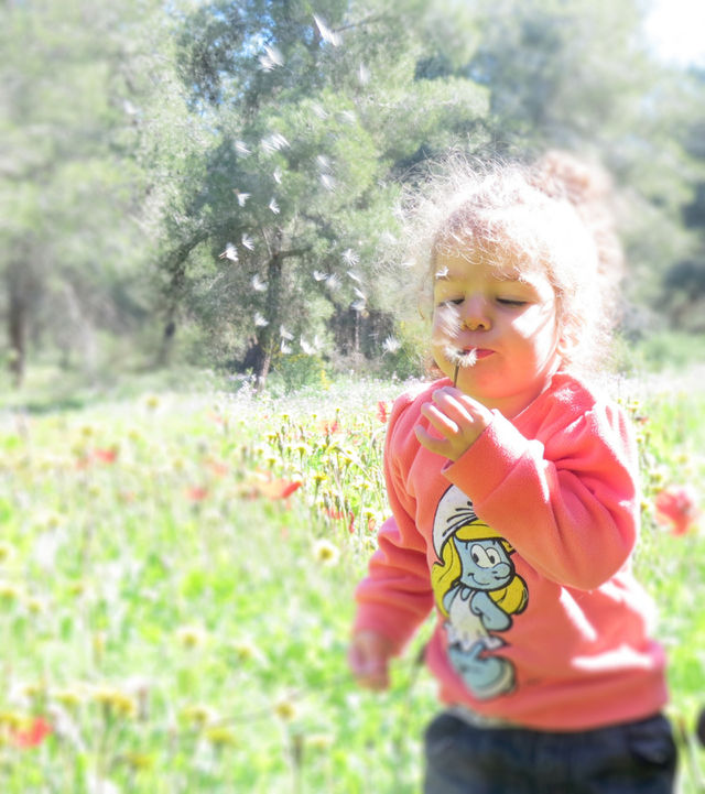 Innocence