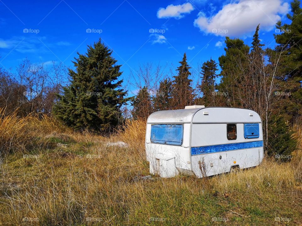 Old caravan surrounded by greenery