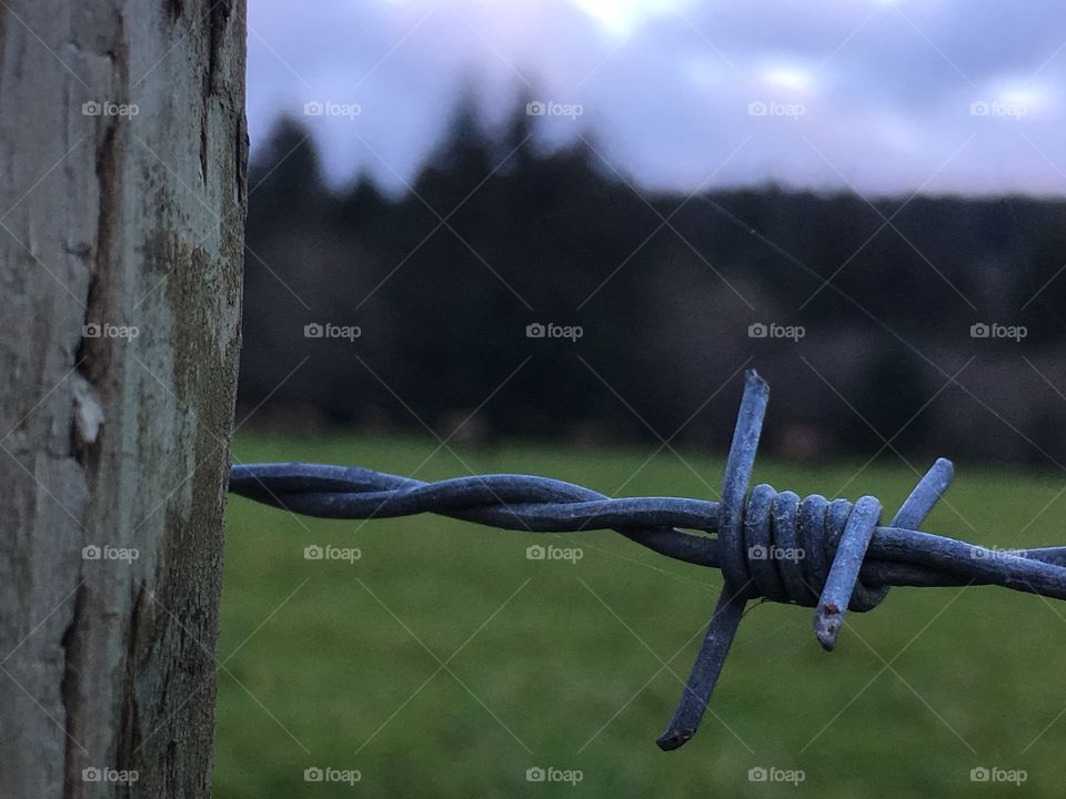 Wired fencing 