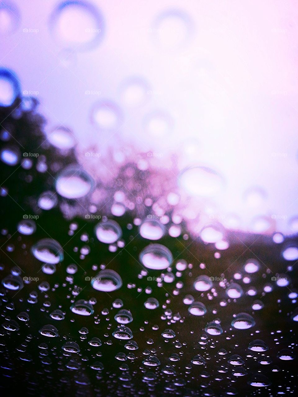 Rain Drops