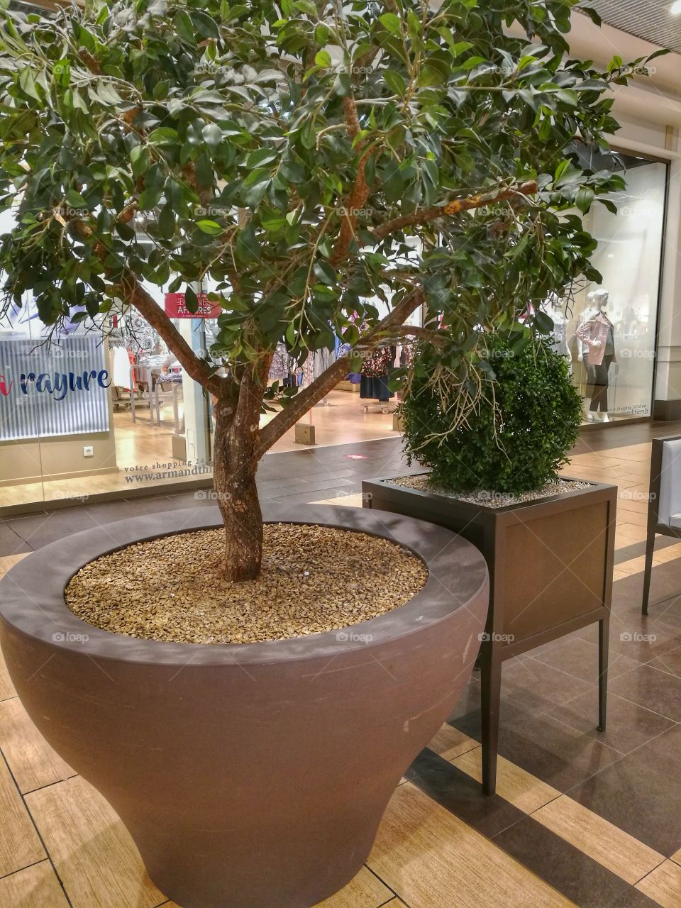 Flowerpot in shopping 