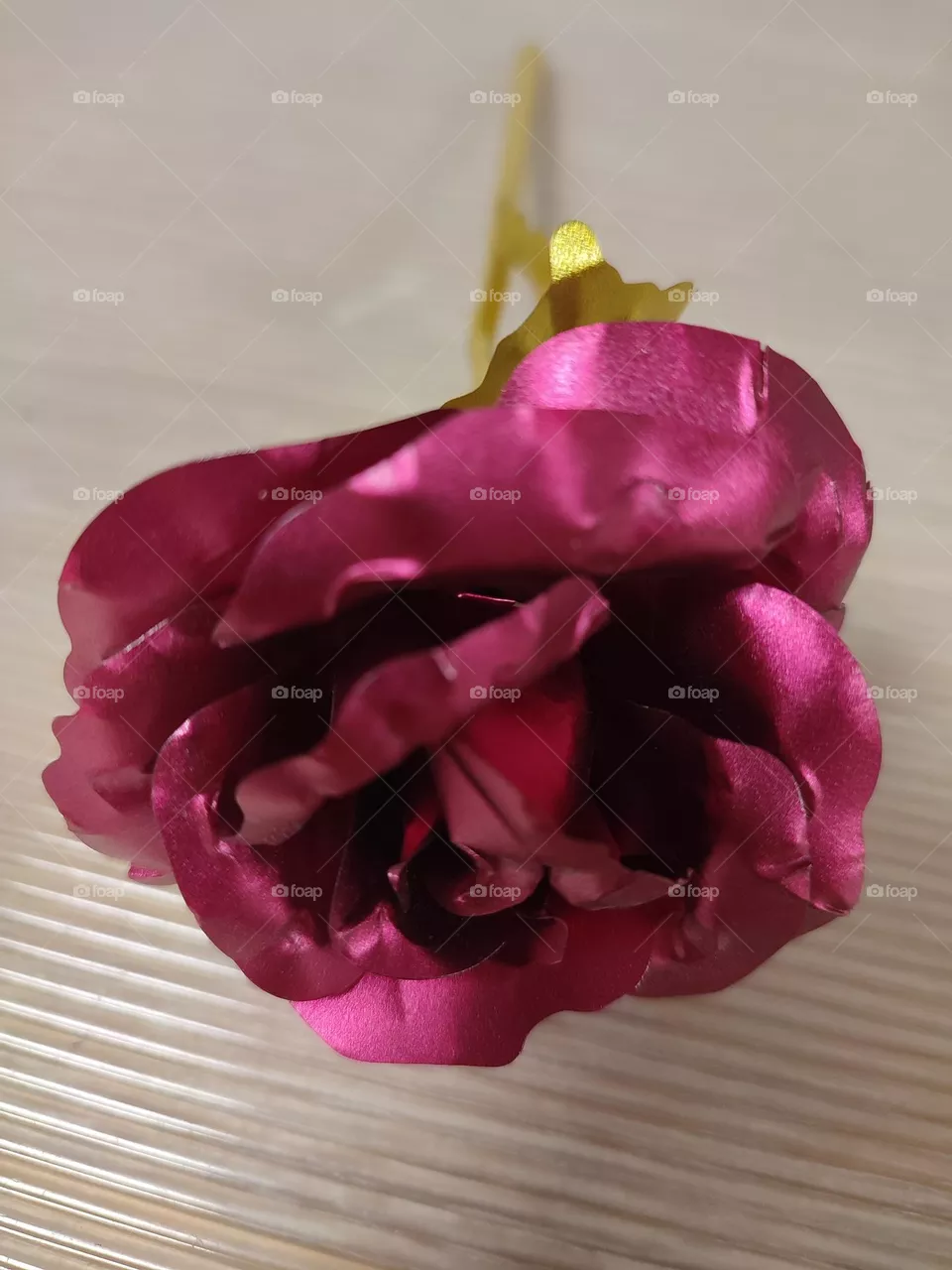 Flower, a rose, pink