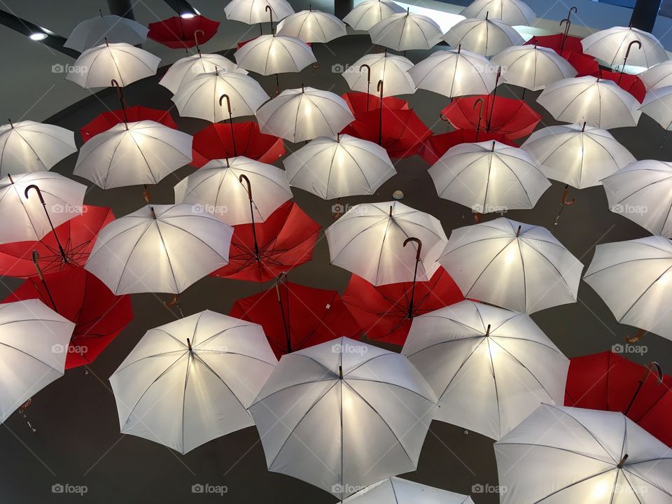 Umbrellas 