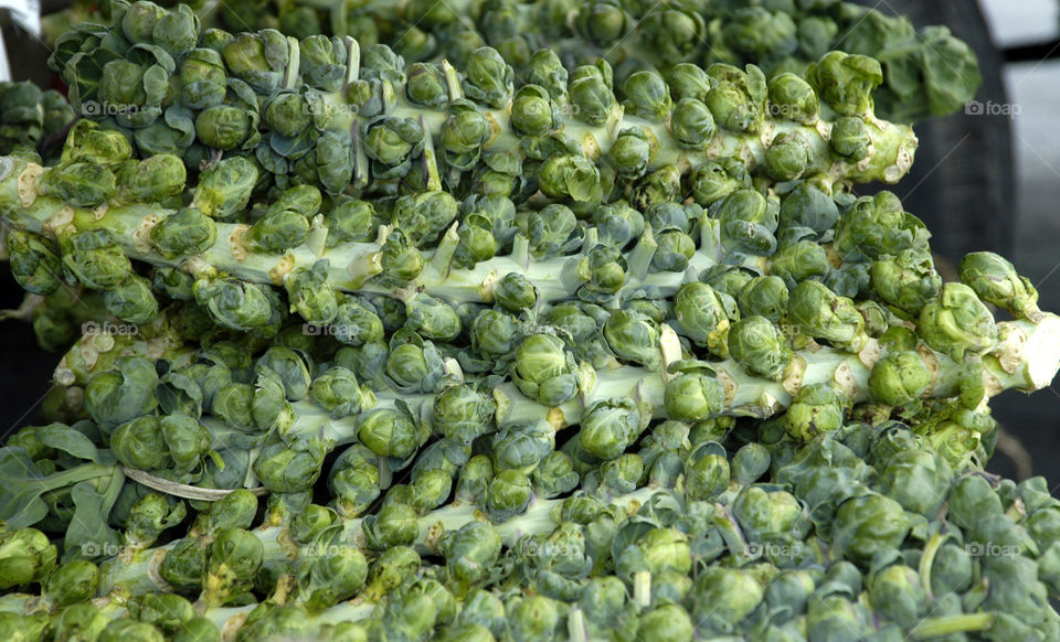 organic brussel sprouts